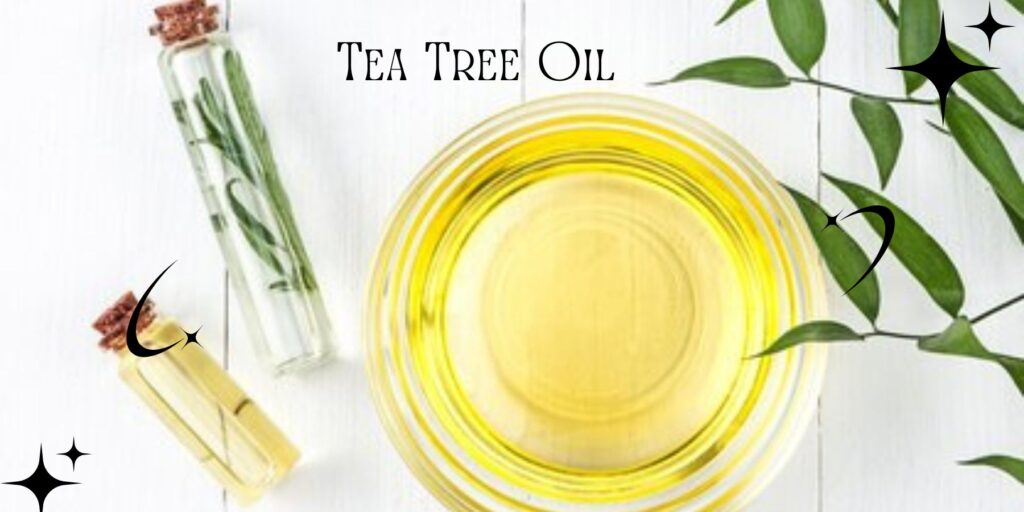 Image of tea tree oil, a natural remedy for acne treatment